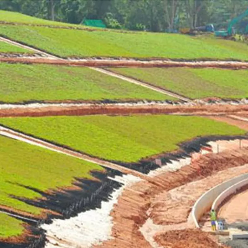 Slope Stabilizer